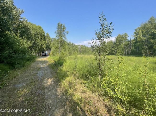 Coming Up the Drive Way | Image 23