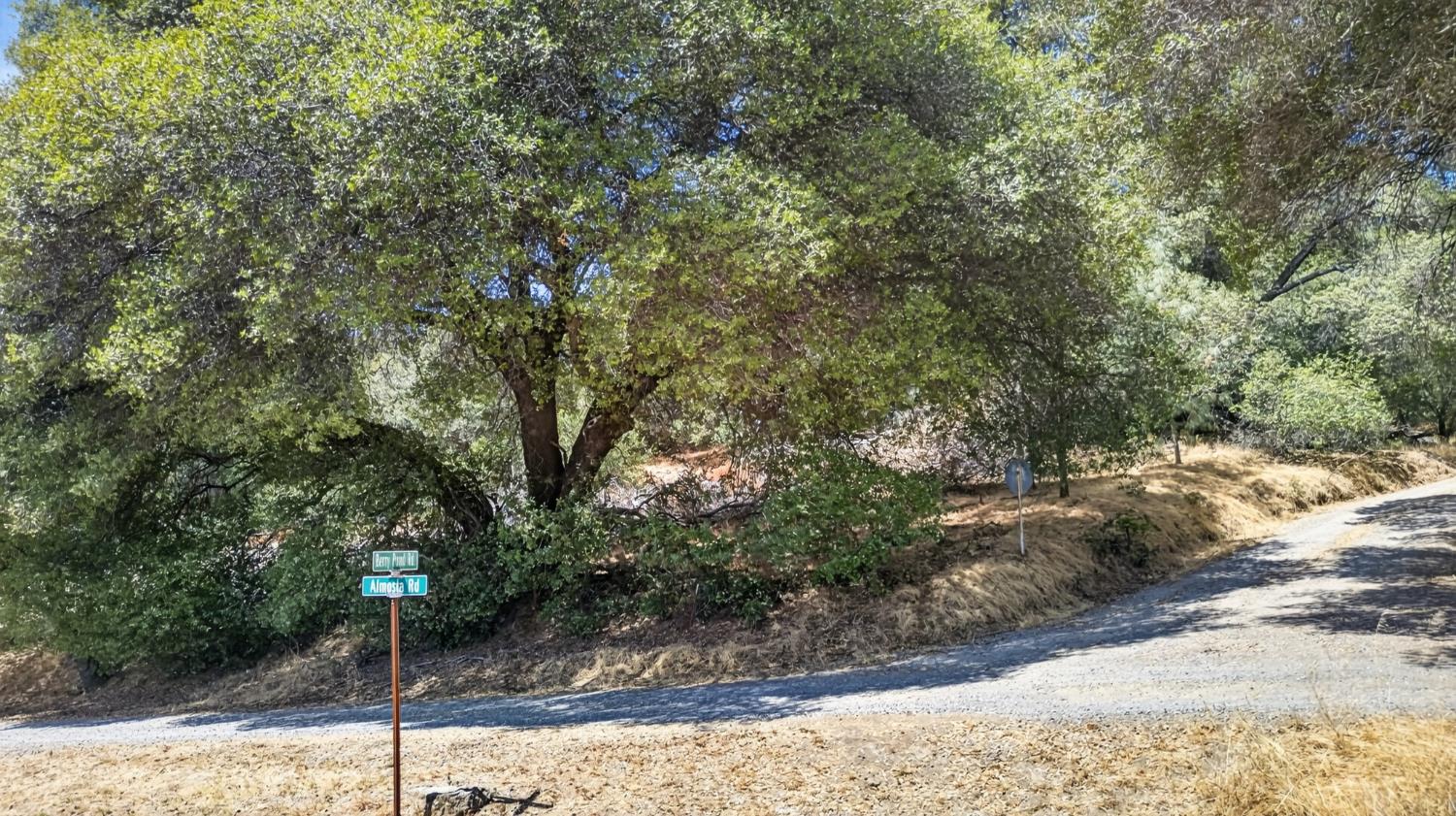 Land in Placerville 3