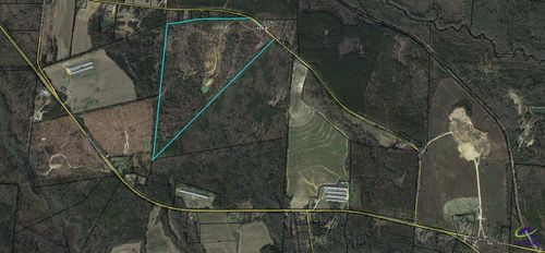 1163 Old Ideal Rd, Oglethorpe, GA, 31068-4623 | Card Image