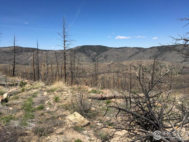 3600 Moondance Way, Home with 0 bedrooms, 0 bathrooms and null parking in Bellvue CO | Image 16