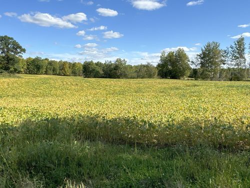 16 County Rd S, Stanley, WI, 54768 | Card Image