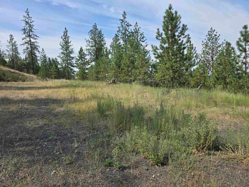 6499 Syringa Way, Nine Mile Falls, WA, 99026-9508 | Card Image