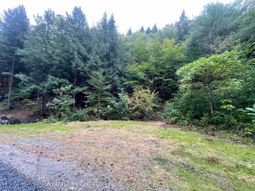 667 Hinkley Brook Rd, Grafton, VT, 05146-4431 | Card Image