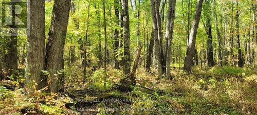 PT/Lot 21 Concession 3 Road, Drummond/North Elmsley, ON, K7H3C7 | Card Image