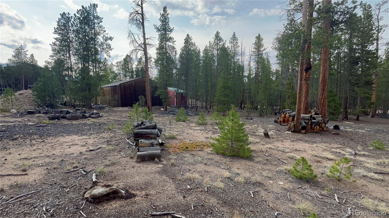 Land in Leadville 4