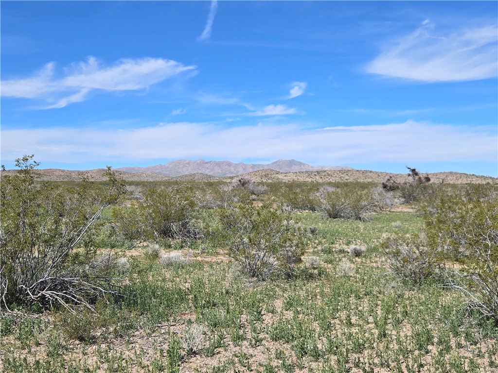 Land in Dolan Springs 5