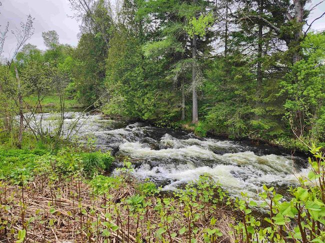 16 Northridge Rd, House other with 4 bedrooms, 1 bathrooms and null parking in West Burke VT | Image 6