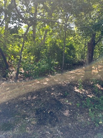 Land in Yarmouth 3