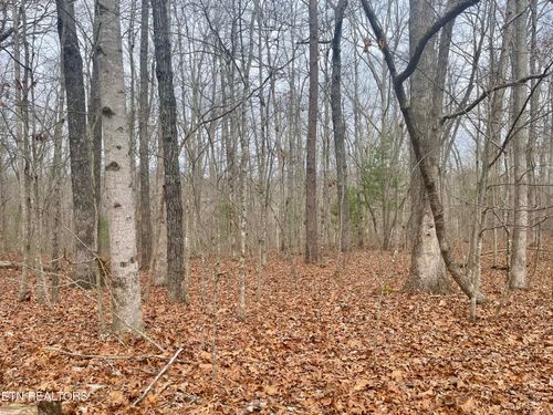 33 Leeds Ter, Crossville, TN, 38558 | Card Image