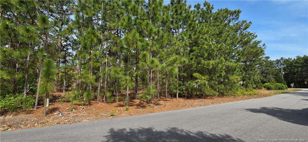 Land in Fayetteville 3