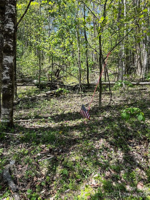 34-Lot# 34 Buckeye Creek Road, Beech Mountain, NC, 28622 | Card Image