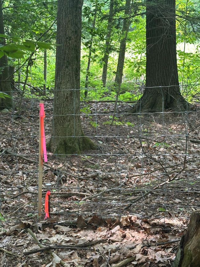 LOT-2 - 123 Rte 5, Home with 0 bedrooms, 0 bathrooms and null parking in Westminster VT | Image 9