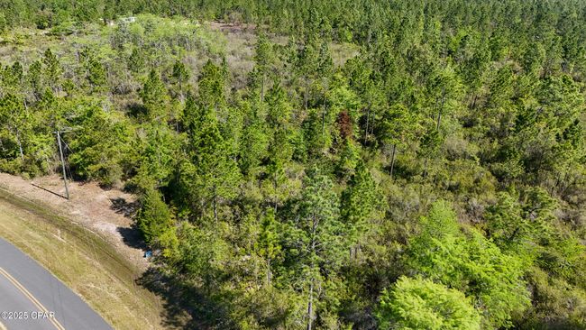 0 Nw Miller Rd, Home with 0 bedrooms, 0 bathrooms and null parking in Altha FL | Image 5