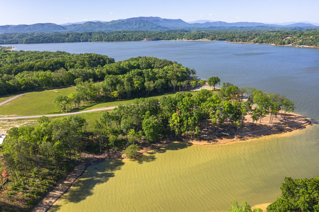 Land in White Pine 5