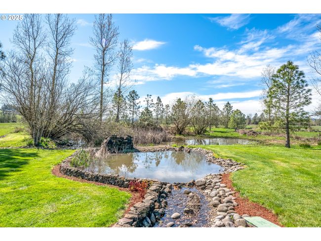 Pond | Image 42