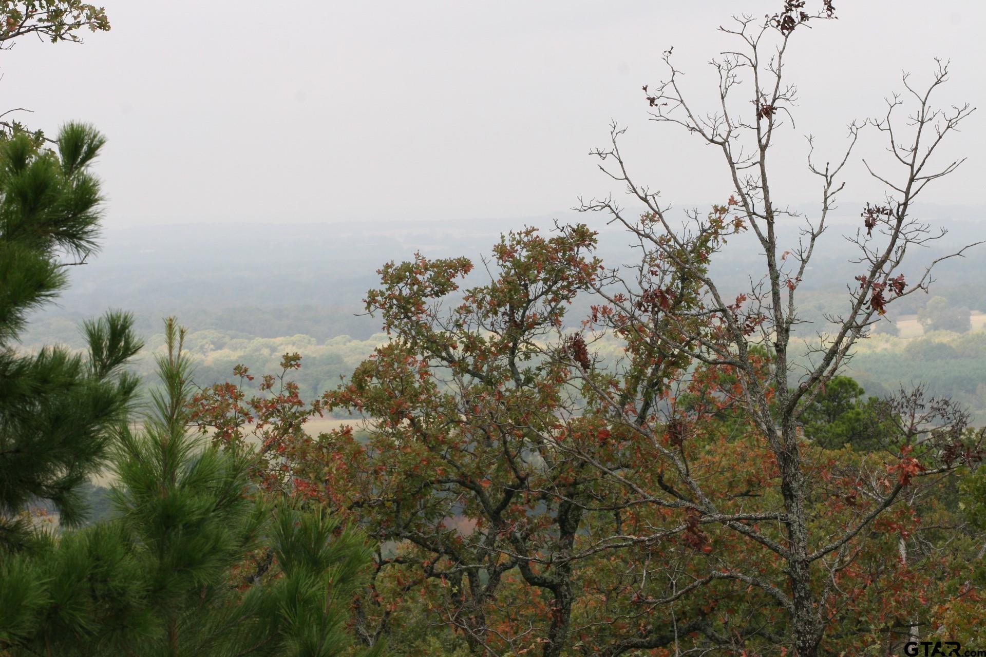 Land in Montalba 2