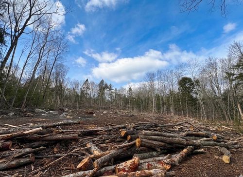 Lot 14 Ne Pond Rd, Milton, NH, 03851-4414 | Card Image