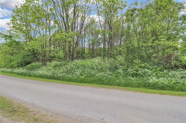 Lot Across Peterson Road | Image 23