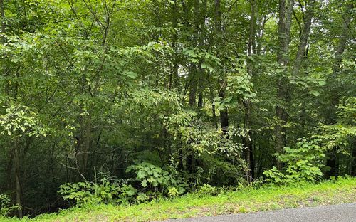 LOT 7 Bear Ln, Hiawassee, GA, 30546 | Card Image