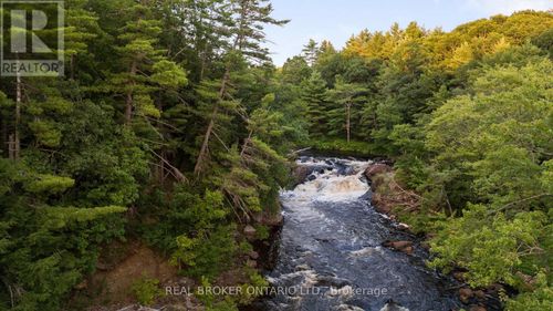 1401 Coopers Falls Rd, Washago, ON, L0K2B0 | Card Image