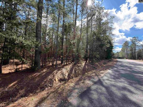 00 Ruby Riser Road, Batesburg, SC, 29006 | Card Image