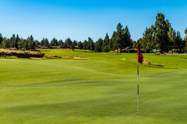 11.PH Golf | Image 18
