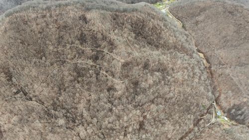 0 Darby Branch Rd, Manchester, KY, 40962 | Card Image