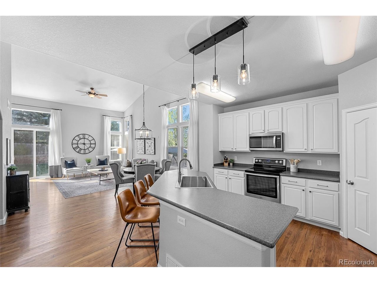 Residential in Castle Rock 4
