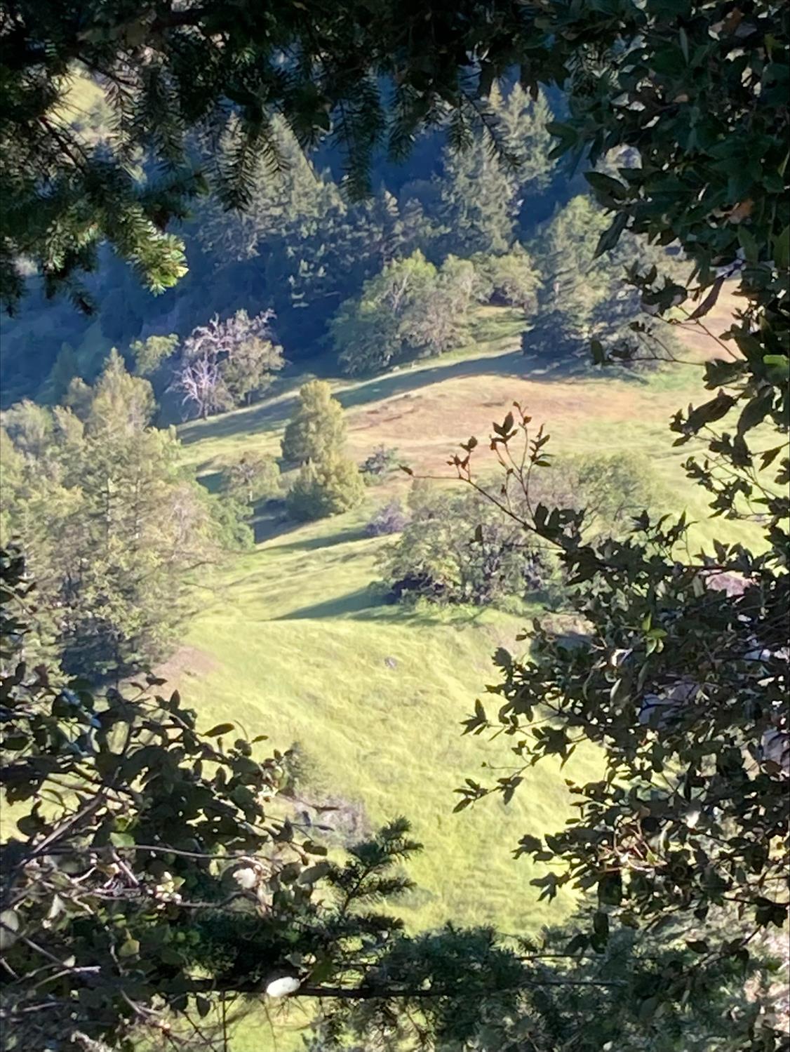 Land in Bridgeville 2