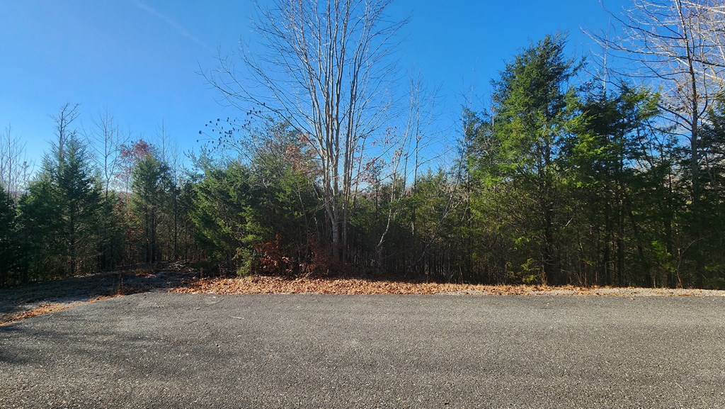 Land in Albany 3