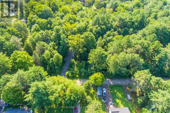 Lt 33 Benson Blvd, Home with 0 bedrooms, 0 bathrooms and null parking in Coboconk ON | Image 5