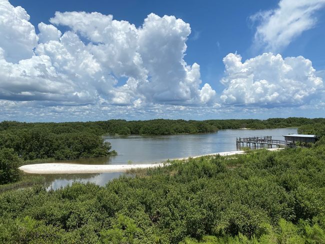 C - 11 Old Mill Dr, Condo with 2 bedrooms, 2 bathrooms and null parking in Cedar Key FL | Image 46