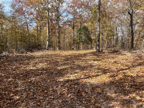 0 Forest Rd, Williamsville, MO, 63967 | Card Image