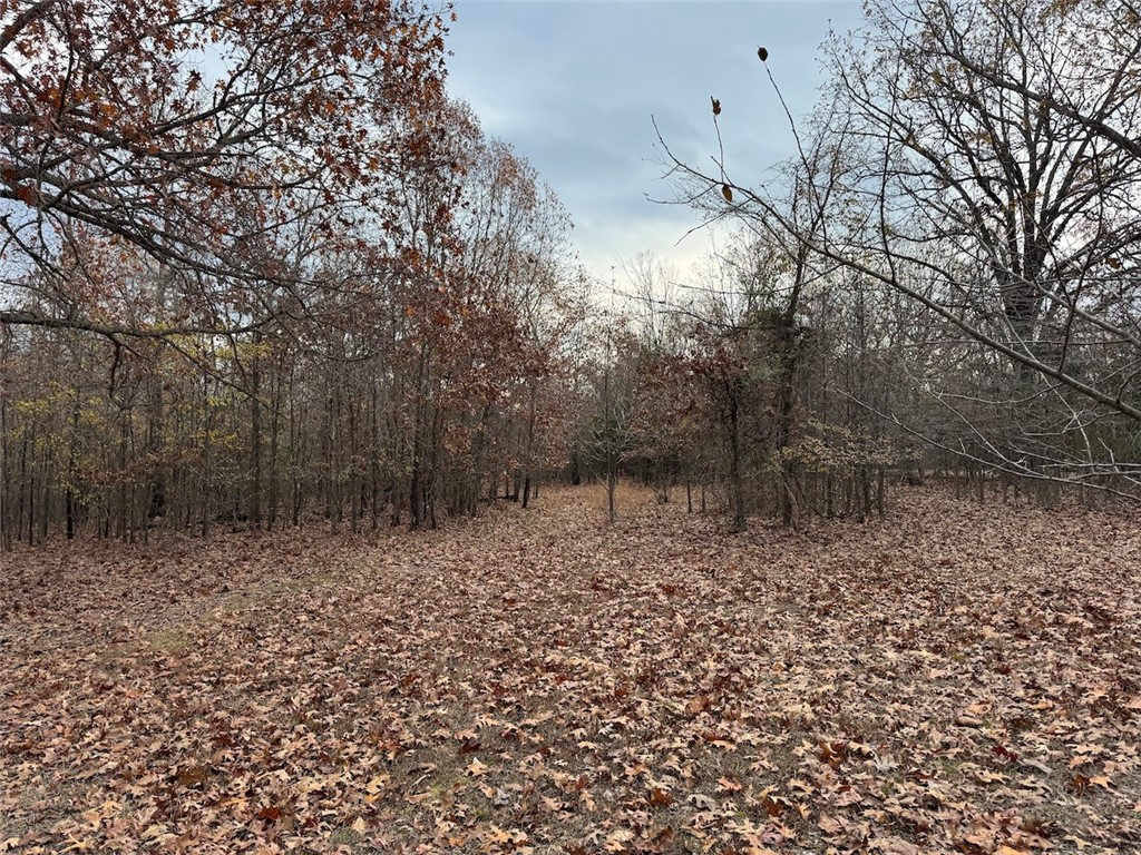 Land in Fayetteville 3