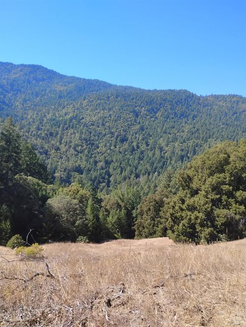 4100 Hansen Ranch Road, Piercy, CA, 95587 | Card Image