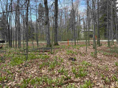 0000 E Sugar Maple Dr, Cedar, MI, 49621 | Card Image