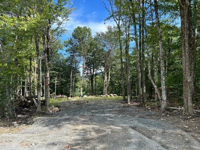 167 Orberdorf Road, Home with 0 bedrooms, 0 bathrooms and null parking in Readsboro VT | Image 1