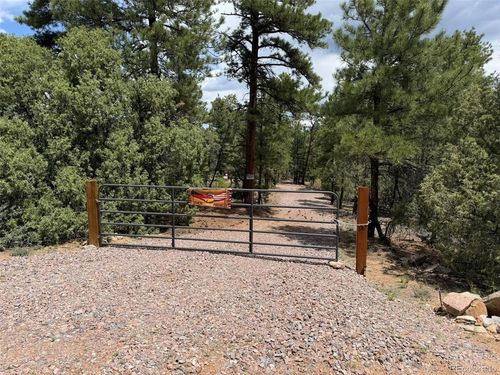 165 Mosswood Dr, Cotopaxi, CO, 81223 | Card Image