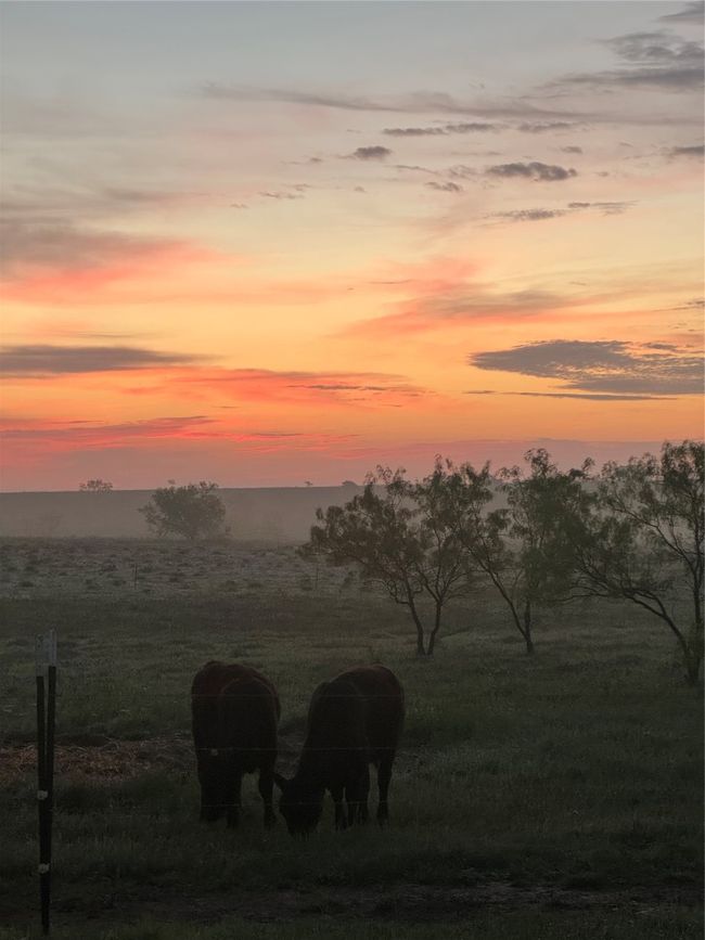 Nature at dusk with a rural view | Image 13