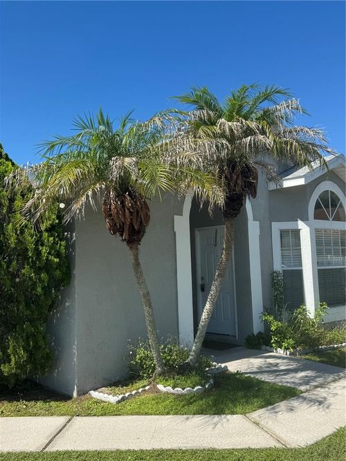 2399 Harbor Town Dr, KISSIMMEE, FL, 34744-5139 | Card Image