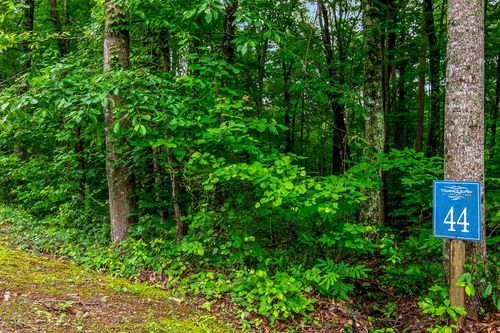 Lot 44 Harris Creek Dr, Ellijay, GA, 30540 | Card Image