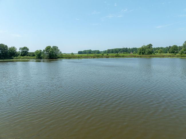 18 N Stephens Rd, Home with 0 bedrooms, 0 bathrooms and null parking in Custer MI | Image 11