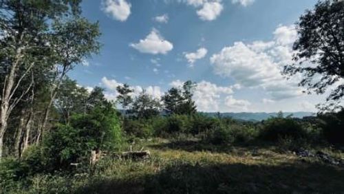 0 Martin Farm Rd, Cedar Bluff, VA, 24609 | Card Image