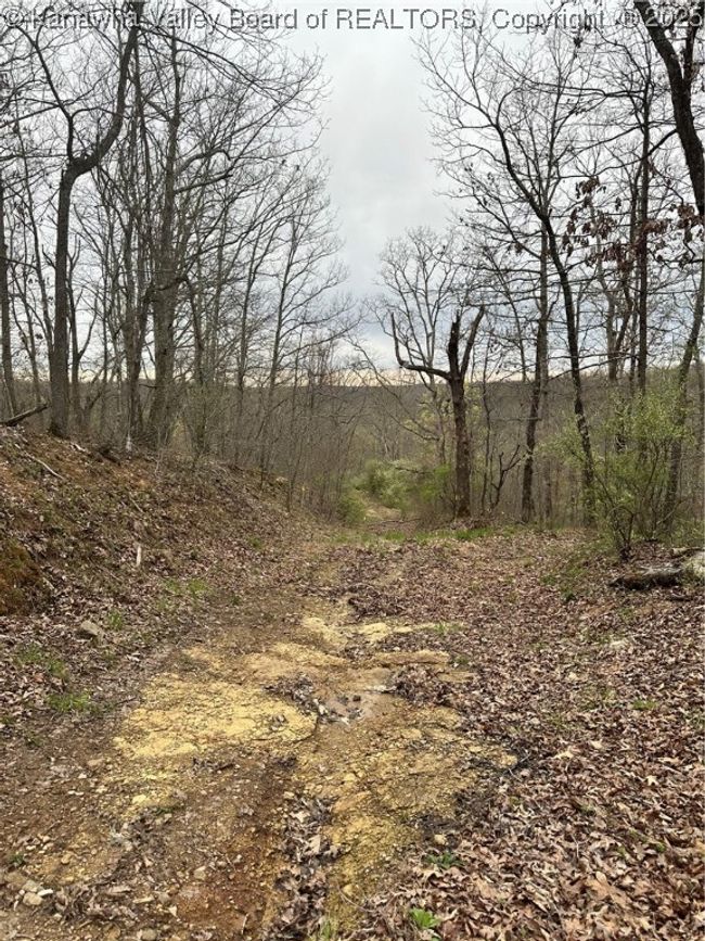 0 Pleasantview Dr, Home with 0 bedrooms, 0 bathrooms and null parking in Elkview WV | Image 7
