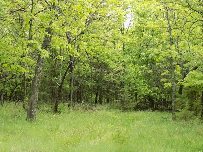 1267 Rock Creek Rd, Home with 0 bedrooms, 0 bathrooms and null parking in Williamsburg KS | Image 22