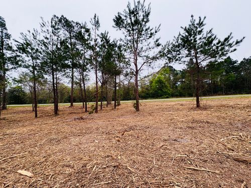 TBD (Tract B) Fm 711, Center, TX, 75935 | Card Image