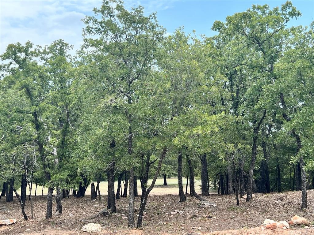 Land in Alvord 3