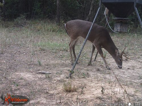 1061-139 Nw County Road, Talco, TX, 75487 | Card Image