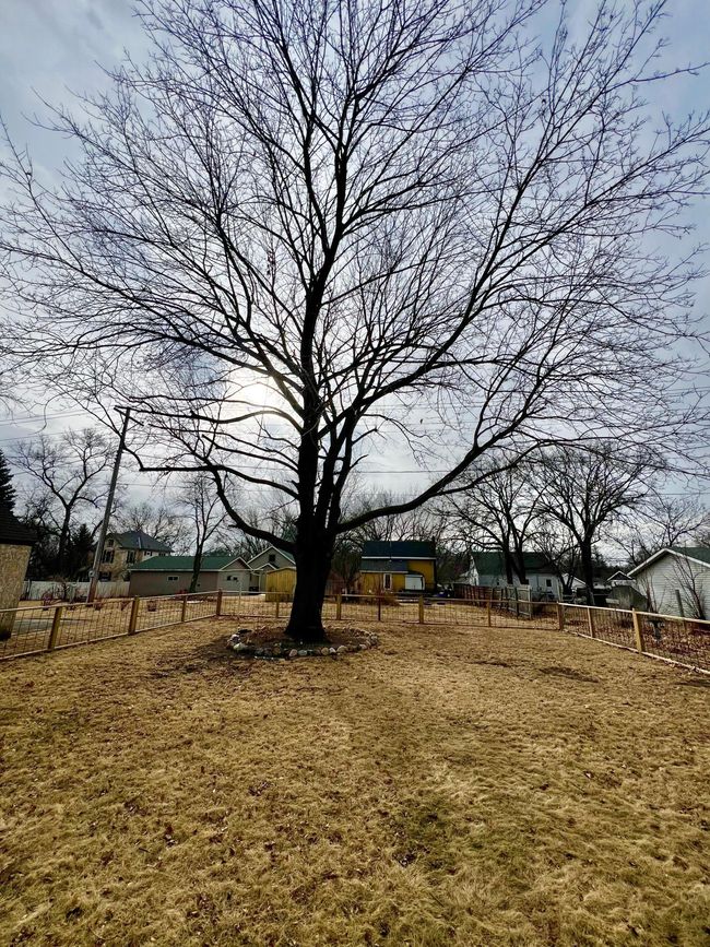 Fully Fenced in Backyard. | Image 29
