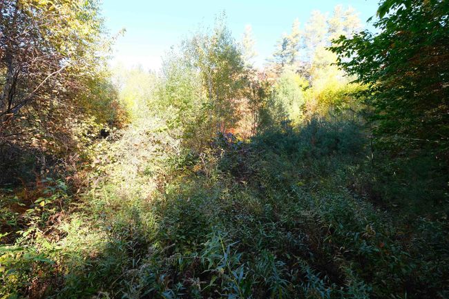 0 Ellison Loop, Home with 0 bedrooms, 0 bathrooms and null parking in Ludlow VT | Image 4